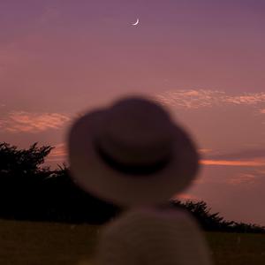 男人舔女人下面视频
